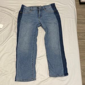 Banana Republic Girlfriend Jeans 28P